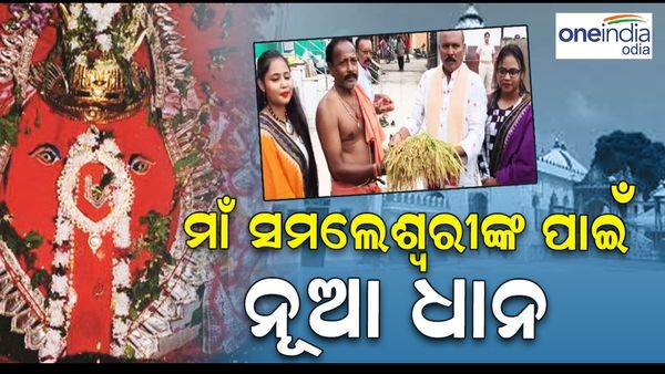 ସମଲେଶ୍ୱରୀଙ୍କ ନିକଟରେ ଲାଗି ହେବ ନବାନ୍ନ, ପହଁଞ୍ଚିଲା ନୂଆ ଧାନ