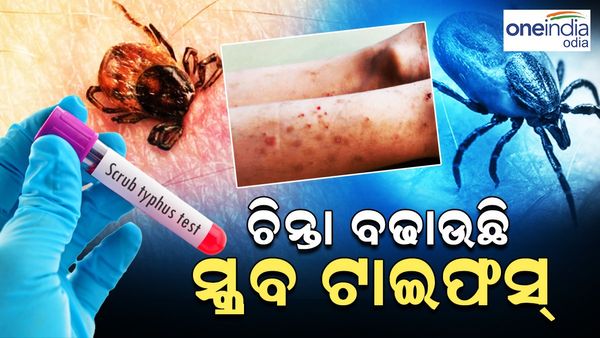 ଚିନ୍ତା ବଢାଉଛି ସ୍କ୍ରବ୍ ଟାଇଫସ୍, ସୁନ୍ଦରଗଡ଼ରେ ଚିହ୍ନଟ ହେଲେ ଆଉ 3 ଆକ୍ରାନ୍ତ