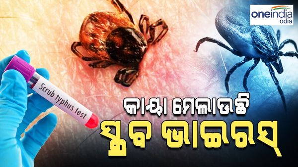 ଥମୁନି ସ୍କ୍ରବ୍ ଟାଇଫସ୍ ସଂକ୍ରମଣ, ଗତ 24 ଘଣ୍ଚାରେ ଚିହ୍ନଟ ହେଲେ ଆଉ 20 ରୋଗୀ