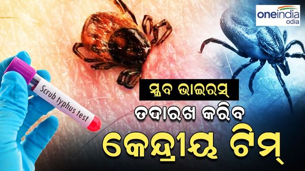 ସ୍କ୍ରବ୍ ଟାଇଫସ୍: ସ୍ଥିତି ଅନୁଧ୍ୟାନ କରିବ କେନ୍ଦ୍ରୀୟ ଟିମ୍