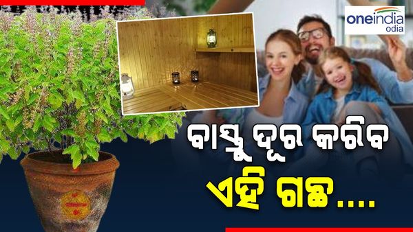 ଘରେ ରହୁଛି କି ବାସ୍ତୁ ଦୋଷ ? ସାହା ହେବ ଏହି ସବୁ ଉପାୟ...