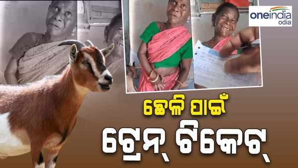 ଛେଳି ପାଇଁ ‌କାଟିଲେ ଟ୍ରେନ ଟିକେଟ : ଭିଡ଼ିଓ ଭାଇରାଲ, ମନ ଜିଣିଲେ ମହିଳା