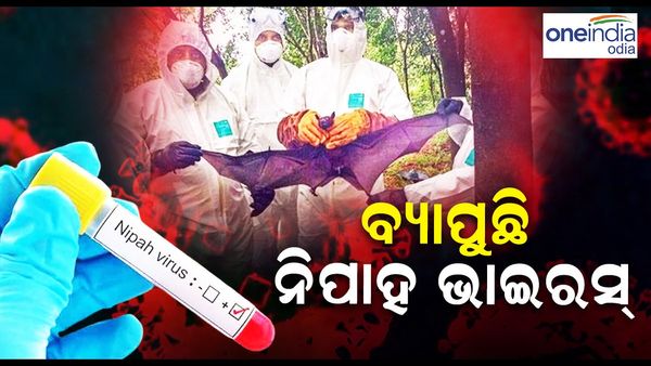 ବ୍ୟାପୁଛି ନିପା ଭାଇରସ: ଏହି ରାଜ୍ୟର ୭ଟି ଗ୍ରାମପଞ୍ଚାୟତକୁ କଣ୍ଟେନମେଣ୍ଟ ଜୋନ୍ ଘୋଷଣା କରାଗଲା