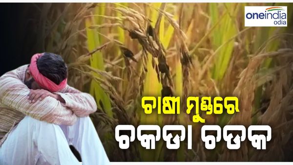 ଚାଷୀ ମୁଣ୍ଡରେ ଚଡ଼କ, ମାତିଲେଣି ଚକଡ଼ା ପୋକ