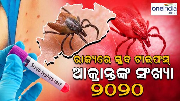 ରାଜ୍ୟରେ ଆତଙ୍କ ଖେଳାଉଛି ସ୍କ୍ରବ୍ ଟାଇଫସ୍‌: ୨୨ ହଜାର ୭୭ ନମୁନାରୁ ୨ ହଜାର ୨୦ ପଜିଟିଭ