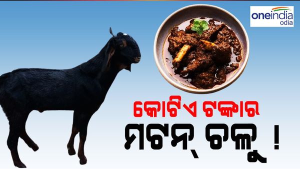 ଛାଡ଼ଖାଇରେ ଜମିଲା ଆମିଷ ବେପାର, ଗୋଟିଏ ଦିନରେ କୋଟିଏ ଟଙ୍କାର ମଟନ୍ ଶେଷ