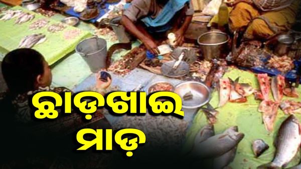 ଛାଡ଼ଖାଇ ମାଡ଼, ଆମିଷ ବଜାରରେ ନିଆଁ