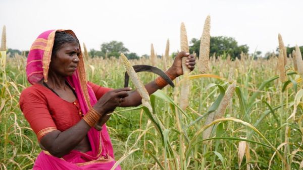 ହସ୍ପିଟାଲ କ୍ୟାଣ୍ଟିନ୍ ଓ ୱାଓ ମୋମୋରେ ମିଳିବ ମାଣ୍ଡିଆ