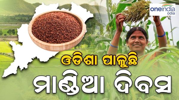 ବିଶ୍ୱ ଦରବାରରେ ମହକୁଛି ମାଣ୍ଡିଆ, ଆଜି ପାଳନ ହେଉଛି ମାଣ୍ଡିଆ ଦିବସ