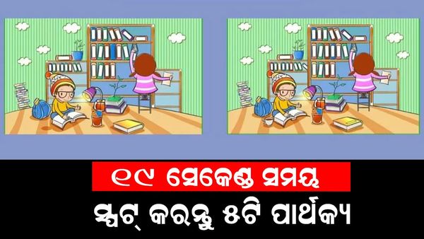 ପାର୍ଥକ୍ୟକୁ ସ୍ପଟ୍ କରନ୍ତୁ: ୧୯ ସେକେଣ୍ଡରେ ୦୫ଟି ପାର୍ଥକ୍ୟ ଚିହ୍ନନ୍ତୁ