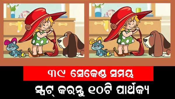 ପାର୍ଥକ୍ୟକୁ ସ୍ପଟ୍ କରନ୍ତୁ: ୩୯ ସେକେଣ୍ଡରେ ୧୦ଟି ପାର୍ଥକ୍ୟ ଚିହ୍ନନ୍ତୁ