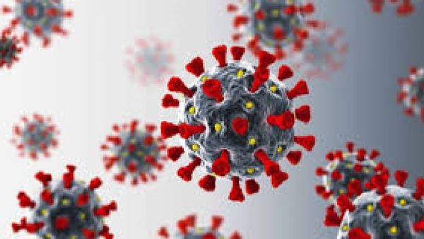 କରୋନା ମାମଲା : କରୋନା କବଳରେ ନବଯାତ ଶିଶୁ