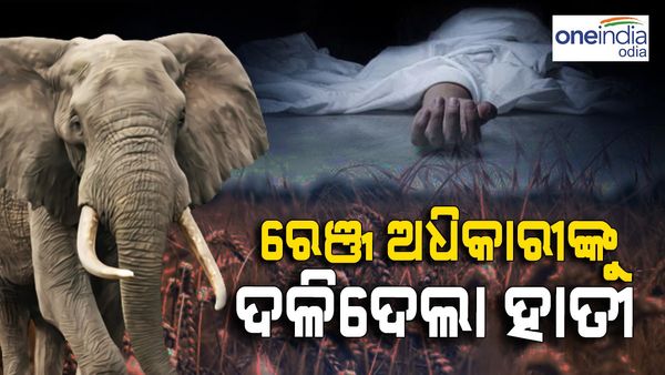 ହାତୀ ପାଦ ତଳେ ରେଞ୍ଜ ଅଧିକାରୀଙ୍କ ମୃତ୍ୟୁ