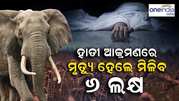 ହାତୀ ଆକ୍ରମଣରେ ମୃତ୍ୟୁ ହେଲେ ମିଳିବ 6 ଲକ୍ଷ, ଖୋଲାଯିବ ‘ହାତୀ ପାଠଶାଳା’