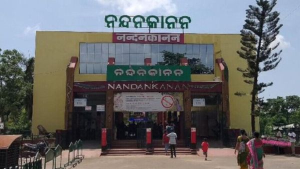 ଆଜି ନନ୍ଦନକାନନ ପ୍ରାଣୀ ଉଦ୍ୟାନର ୬୪ ତମ ପ୍ରତିଷ୍ଠା ଦିବସ, ଲୋକାର୍ପଣ ହେବ ବାଉଁଶ ଉଦ୍ୟାନ