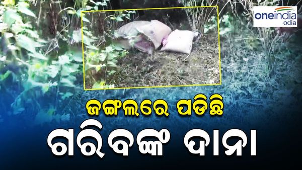 ଜଙ୍ଗଲରେ ପଡ଼ିଛି ବସ୍ତା ବସ୍ତା ପିଡିଏସ୍ ଚାଉଳ