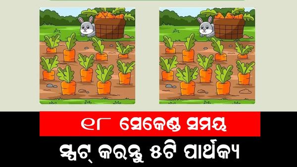 ପାର୍ଥକ୍ୟକୁ ସ୍ପଟ୍ କରନ୍ତୁ: ୧୮ ସେକେଣ୍ଡରେ ୦୫ଟି ପାର୍ଥକ୍ୟ ଚିହ୍ନନ୍ତୁ