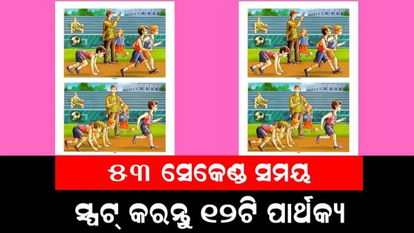 ପାର୍ଥକ୍ୟକୁ ସ୍ପଟ୍ କରନ୍ତୁ: ୫୩ ସେକେଣ୍ଡରେ ୧୨ ପାର୍ଥକ୍ୟ ସ୍ପଟ୍ କରନ୍ତୁ