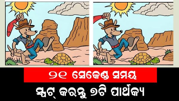 ପାର୍ଥକ୍ୟକୁ ସ୍ପଟ୍ କରନ୍ତୁ: ୨୧ ସେକେଣ୍ଡରେ ୦୭ଟି ପାର୍ଥକ୍ୟ ଚିହ୍ନନ୍ତୁ