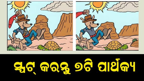 ପାର୍ଥକ୍ୟକୁ ସ୍ପଟ୍ କରନ୍ତୁ: ୨୧ ସେକେଣ୍ଡର ୭ ପାର୍ଥକ୍ୟ ସ୍ପଟ୍ କରନ୍ତୁ
