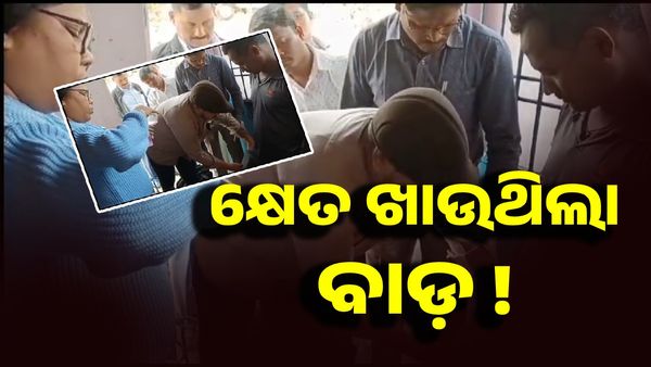 ଗଛ କାଟିବା ଅନୁମତି ଦେବାକୁ ନେଉଥିଲେ ହାତଗୁଞ୍ଜା, ଭିଜିଲାନ୍ସ ହାତରେ ବନ୍ଧା ହେଲେ ଫରେଷ୍ଚ ଗାର୍ଡ ଓ ଜଗୁଆଳି