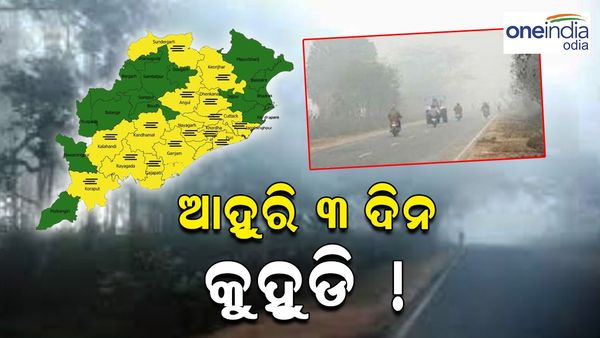 ଆହୁରି ତିନି ଦିନ ଲାଗି ରହିବ କୁହୁଡ଼ି, ପଶ୍ଚିମ ଓ ଦକ୍ଷିଣ ଓଡ଼ିଶାକୁ ସତର୍କ ସୂଚନା