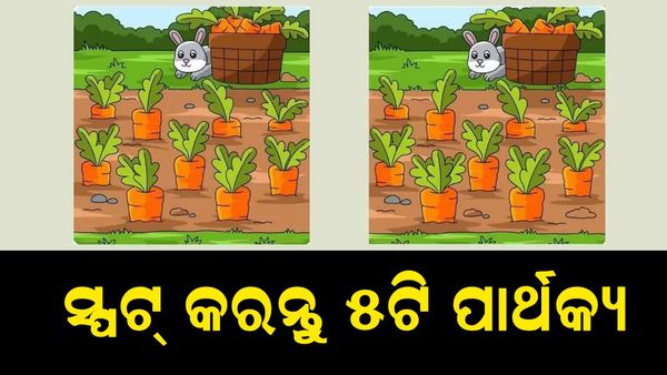 ପାର୍ଥକ୍ୟକୁ ସ୍ପଟ୍ କରନ୍ତୁ: ୧୮ ସେକେଣ୍ଡର ୫ ପାର୍ଥକ୍ୟ ସ୍ପଟ୍ କରନ୍ତୁ