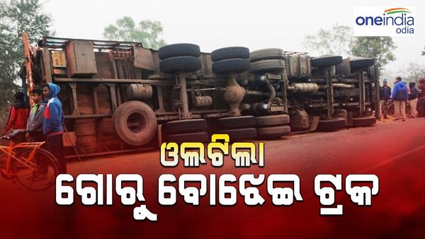 ଓଲଟିଲା ଗୋରୁ ବୋଝେଇ ଟ୍ରକ୍, 20 ରୁ ଅଧିକ ଗୋରୁ ମୃତ