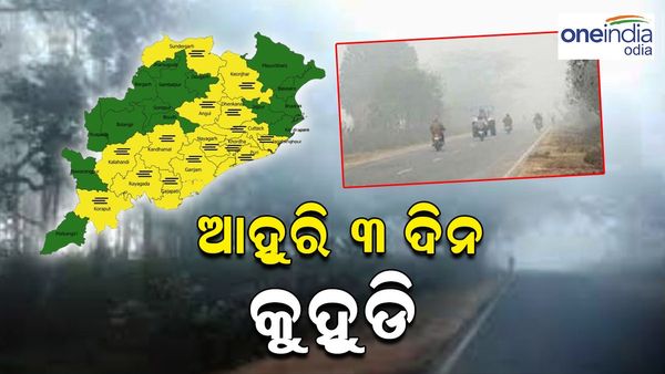 ରାଜ୍ୟରେ ୩ ଦିନ ଯାଏ ଲାଗି ରହିବ କୁହୁଡି, ଗାଡ଼ି ଚଳକଙ୍କୁ ସତର୍କ ରହିବାକୁ ପରାମର୍ଶ