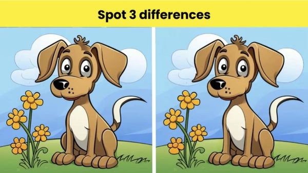 ପାର୍ଥକ୍ୟକୁ ସ୍ପଟ୍ କରନ୍ତୁ: ୧୮ ସେକେଣ୍ଡର ୩ ପାର୍ଥକ୍ୟ ସ୍ପଟ୍ କରନ୍ତୁ