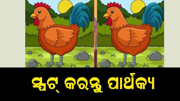 ପାର୍ଥକ୍ୟକୁ ସ୍ପଟ୍ କରନ୍ତୁ: ସମୟ ୧୫ ସେକେଣ୍ଡ, ୩ ପାର୍ଥକ୍ୟ ସ୍ପଟ୍ କରନ୍ତୁ