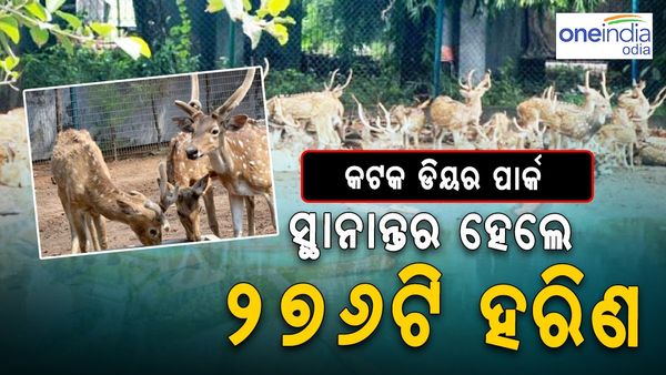 କଟକ ଡିୟର ପାର୍କରୁ ଏହି ସ୍ଥାନକୁ ସ୍ଥାନାନ୍ତର ହେଲେ ୨୭୬ଟି ହରିଣ