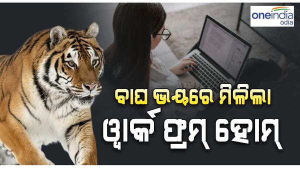 ବାଘ ଭୟରେ ୱାର୍କ ଫ୍ରମ୍ ହୋମ୍, ବଦଳିଲା TCS କର୍ମଚାରୀଙ୍କ ଟାଇମିଂ