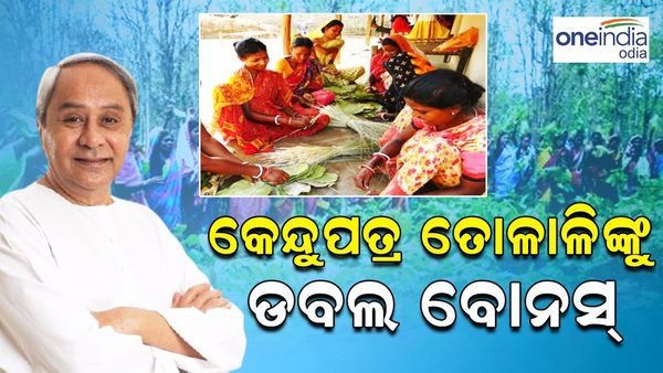 କେନ୍ଦୁପତ୍ର ତୋଳାଳିଙ୍କୁ ରାଜ୍ୟ ସରକାରଙ୍କ ଭେଟି, 25 ରୁ 50 ପ୍ରତିଶତକୁ ବଢିଲା ବୋନସ୍