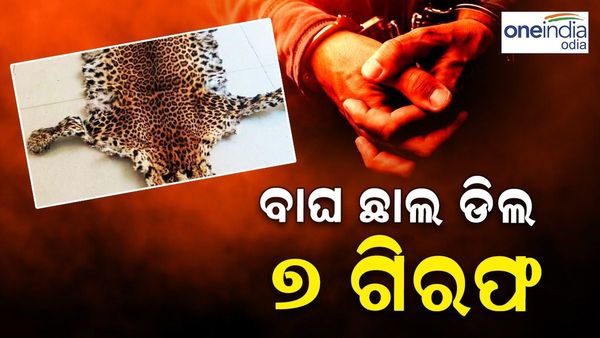 କଟକରେ ବାଘ ଛାଲ ଡିଲ୍, 7 ଗିରଫ... ଏବେ ବି 6 ଜଣ ଗିରଫ
