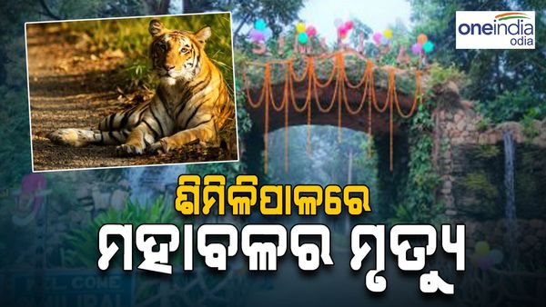 ଶିମିଳିପାଳରେ ମହାବଳର ମୃତ୍ୟୁ, ପାଟ୍ରୋଲିଂ ବେଳେ ଦେଖିଲେ ବନ କର୍ମଚାରୀ