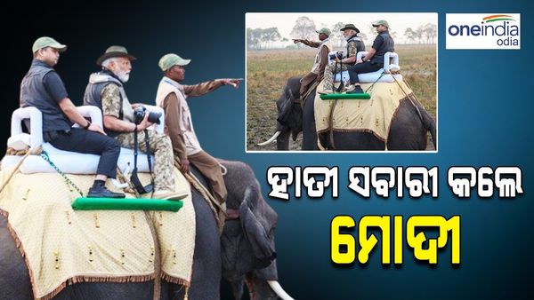 ମୁଣ୍ଡରେ ହ୍ୟାଟ୍, ଆଖିରେ ଚଷମା... ହାତୀ ସଫାରିରେ ବୁଲିଲେ ପ୍ରଧାନମନ୍ତ୍ରୀ ମୋଦୀ