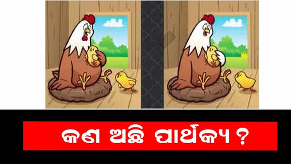 ପାର୍ଥକ୍ୟକୁ ସ୍ପଟ୍ କରନ୍ତୁ: ୧୨ ସେକେଣ୍ଡର ୫ ପାର୍ଥକ୍ୟ ସ୍ପଟ୍ କରନ୍ତୁ