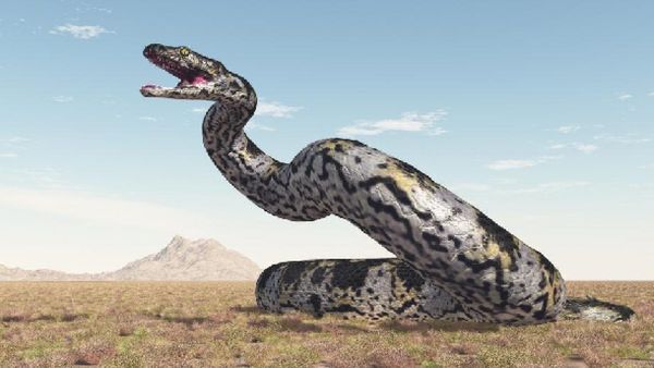 ଗୁଜୁରାଟରୁ ମିଳିଥିବା ୫କୋଟି ବର୍ଷ ପୁରୁଣା 'ବାସୁକି' ସାପର ଜୀବାସ୍ମ