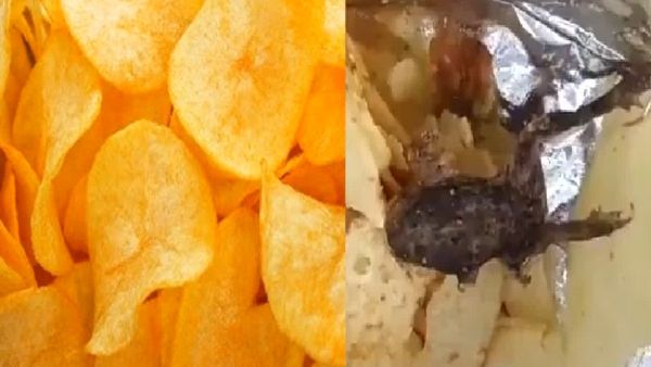 ଆଇସକ୍ରିମରୁ କଟା ଆଙ୍ଗୁଠି ପରେ ଏବେ ଚିପ୍ସରୁ ବାହାରିଲା ମୃତ ବେଙ୍ଗ