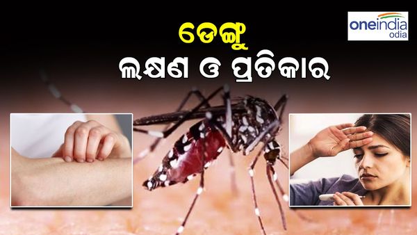 ମୁଣ୍ଡ ଟେକିଲାଣି ଡେଙ୍ଗୁ, ଜାଣନ୍ତୁ କଣ ରହିଥାଏ ଏହାର ଲକ୍ଷଣ ଓ କିପରି କରିବେ ପ୍ରତିକାର