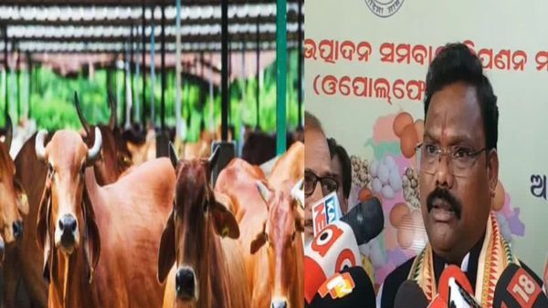 Revolution In Dairy Farming; ରାଜ୍ୟରେ ହେବ ଦୁଗ୍ଧ ବନ୍ୟା ମିଶନ; ଲୋକାଲ ଫର ଭୋକାଲର ଆହ୍ବାନ ଦେଲେ ଗୋକୁଳାନନ୍ଦ ମଲ୍ଲିକ