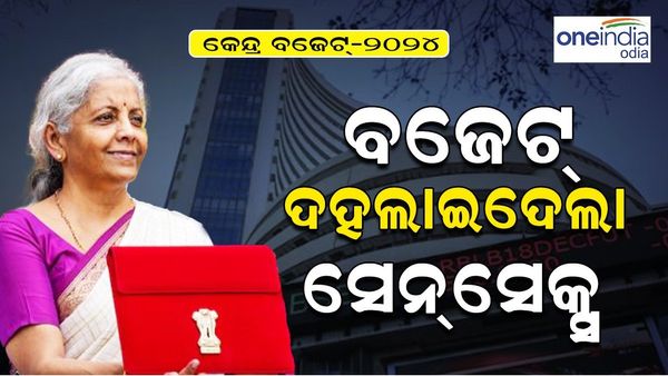 ବଜେଟ୍‌ ଦୋହଲାଇଦେଲା ସେନ୍ସେକ୍ସ