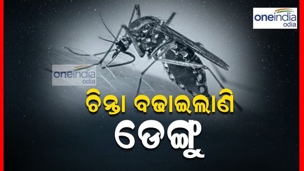 Dengue in Odisha: ଚିନ୍ତା ବଢ଼ାଇଲାଣି ଡେଙ୍ଗୁ; ରାଜ୍ୟରେ ୪୮୮ ଜଣ ଡେଙ୍ଗୁ ପଜିଟିଭ ଚିହ୍ନଟ