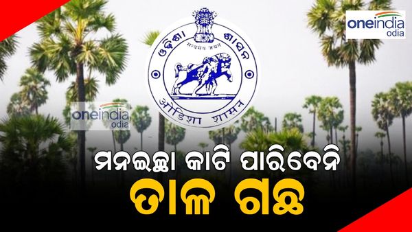 ଆଉ ମନଇଚ୍ଛା କାଟି ପାରିବେନି ତାଳ ଗଛ; ତାଳ ଗଛ କାଟିବା ପାଇଁ ବନ ବିଭାଗଠୁ ନେବାକୁ ପଡ଼ିବ ଅନୁମତି