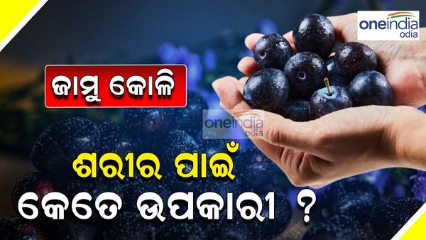 ଜାମୁ କୋଳି : ଯେତିକି ପାଟିକୁ ଟେଷ୍ଟି; ଶରୀର ପାଇଁ ସେତେ ଉପକାରୀ, ଆସନ୍ତୁ ଜାଣିବା