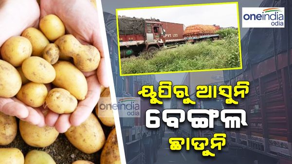 ପୁଣି ସାରା ରାଜ୍ୟରେ ଆଳୁ ଦରରେ ନିଆଁ; କେଜି ଛୁଇଁଲା ୬୦, କଟକ ଛତ୍ରବଜାର, ଭୁବନେଶ୍ବର ଆଇଗିଣିଆ ଗୋଦାମରେ ସଂକଟ