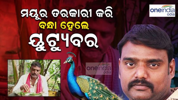 ମୟୂର ତରକାରୀ କରି ଜେଲ୍ ଗଲେ ୟୁଟ୍ୟୁବର୍‌