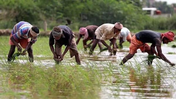 ଏହି କୃଷକଙ୍କୁ ମିଳିବ ନାହିଁ 'PM Kisan Yojana'ର ପରବର୍ତ୍ତୀ କିସ୍ତି
