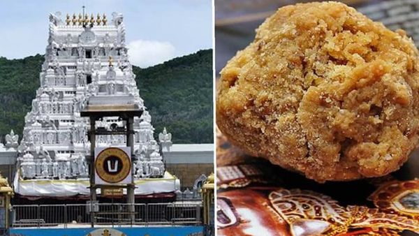 ଆନ୍ଧ୍ରପ୍ରଦେଶ ମୁଖ୍ୟମନ୍ତ୍ରୀଙ୍କ ବଡ଼ ଦାବି: ତିରୁପତି ଲଡୁରେ ବ୍ୟବହାର ହେଉଥିଲା ପଶୁ ଚର୍ବି